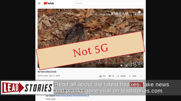 Fact Check: 5G Test Did NOT Kill Hundreds Of Birds In The Netherlands