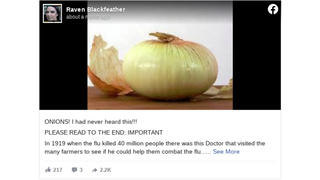 Fact Check: Onions Do NOT Prevent The Flu And Other Viral Infections