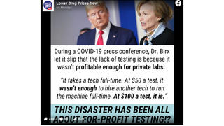 Fact Check: Dr. Birx Did NOT Say Lack Of COVID-19 Testing Was Because It Was Not Profitable For Private Labs