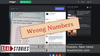 Fact Check: Meme Comparing Coronavirus To Other Causes Of Death Does NOT Have Accurate Figures