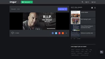 Fact Check: Vin Diesel Is NOT Dead From A Backyard Stunt Fail