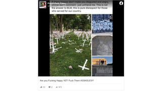 Fact Check: Black Lives Matter Protesters Did NOT Damage White Crosses, Vietnam War Memorials, Lt. Michael Murphy Plaque