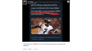 Fact Check: Michael Vick Did NOT Serve More Time In Jail For Killing A Dog Than All Cops Who Have Killed The Last 493 Unarmed Black Men