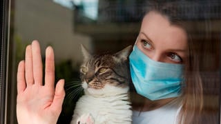 Fact Check: NO Proof Cat Owners May Have Higher Immunity Against COVID-19