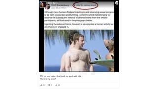 Fact Check: Mark Zuckerberg Did NOT Post About Enjoying Adrenochrome On Jeffrey Epstein's Private Island
