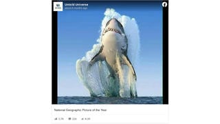 Fact Check: Image Is NOT One Of National Geographic's Photos Of The Year