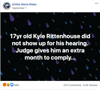 Fact Check: Accused Kenosha Shooter Kyle Rittenhouse Did NOT Have To Be At Initial Extradition Hearing -- A Lawyer Was There For Him