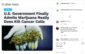 Fact Check: The U.S. Government Has NOT 'Finally Admitted' Marijuana Kills Cancer Cells
