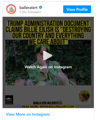 Fact Check: Trump Administration Did NOT Claim Songwriter Billie Eilish Is 'Destroying Our Country' In Leaked Documents