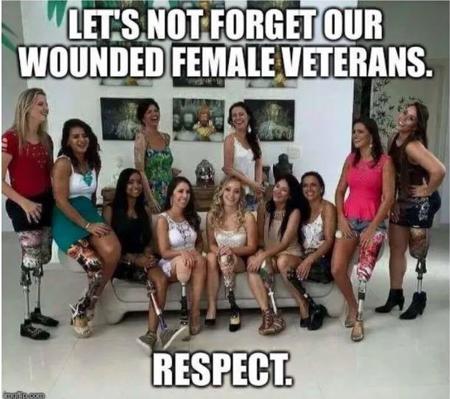 WoundedVets.JPG