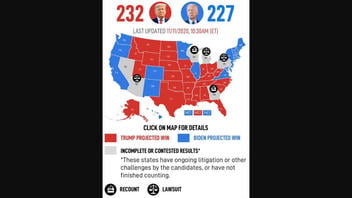 Fact Check: A Look Behind The Epoch Times' Map That Shows 232 Electoral Votes For Trump, 227 For Biden