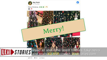 Merry Christmas From Lead Stories Despite Erroneous Automated Facebook Flags