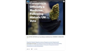 Fact Check: The United Nations Did NOT Classify Cannabis As A 'Medicine'