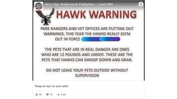 Fact Check: Hawks CANNOT Carry A 12-Pound Pet