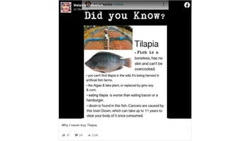 Fact Check: Tilapia Is NOT Boneless, Is Not Inherently Bad For You