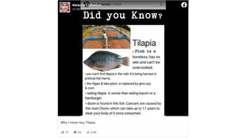 Fact Check: Tilapia Is NOT Boneless, Is Not Inherently Bad For You