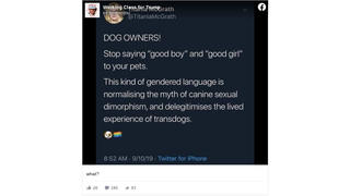 Fact Check: Appeal To Dog Owners To Stop Using 'Gendered Language' Was NOT Authentic