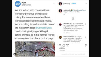 Fact Check: PETA Did NOT Call For A Ban Of 'SavageHunts' Instagram Page