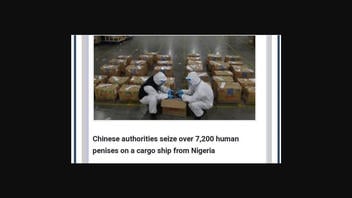 Fact Check: Chinese Authorities Did NOT Seize Over 7,200 Human Penises On Cargo Ship From Nigeria