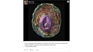 Fact Check: Image of Cell IS NOT A Microscopic Photo But A Digital Illustration