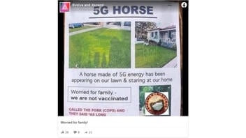 Fact Check: A 5G Horse Did NOT Appear On The Lawn Of An Unvaccinated Family -- It's Art