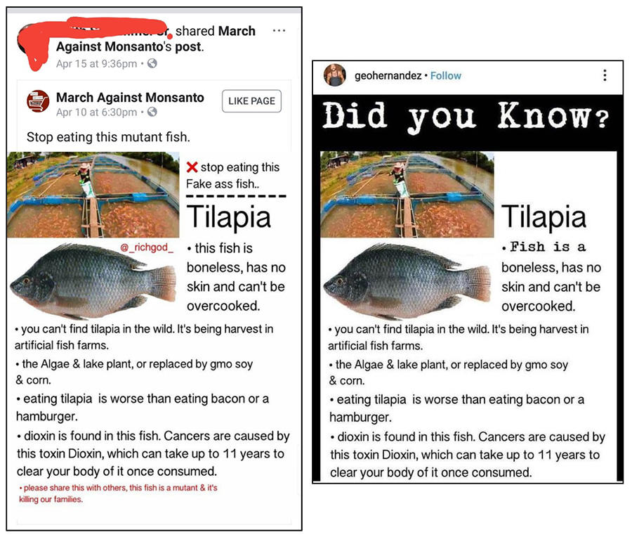 tilapiacompare.jpg