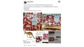 Fact Check: Oxtail Is NOT Kangaroo Meat in Disguise