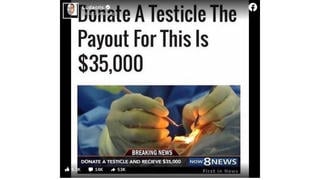 Fact Check: A Man Can NOT Just Donate A Testicle For $35,000 Cash
