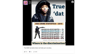 Fact Check: 2015 'USA Crime Statistics' Do NOT Show Correct Numbers For Killings By Race, Or For Police Killings Of Both Blacks And Whites