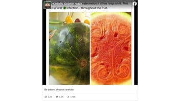 Fact Check: Watermelon With Ringed Markings Is NOT Dangerous To Eat