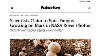 Fact Check: Scientists Did NOT Spot Mushrooms on Mars