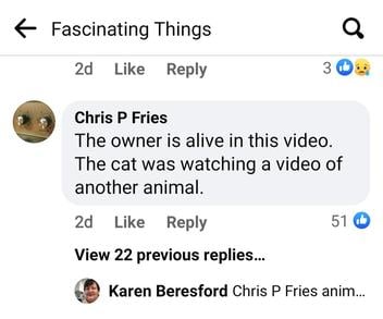 Fact Check: Cat Did NOT Watch Video of Supposedly Deceased Owner