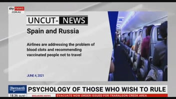 Fact Check: Airlines In Spain and Russia Are NOT Recommending Vaccinated People Should Not Travel -- But Boy, Did This Rumor Travel