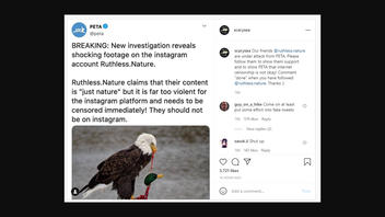 Fact Check: PETA Did NOT Call For Censorship of 'Ruthless.Nature' Instagram Page