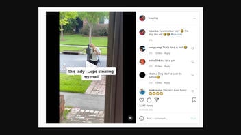 Fact Check: Mail-Stealing 'Karen' Video Is NOT Real -- It's Joke Made By TikTok Account