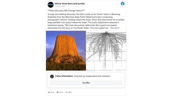 Fact Check: Devils Tower Does NOT Have A Massive Underground Root System