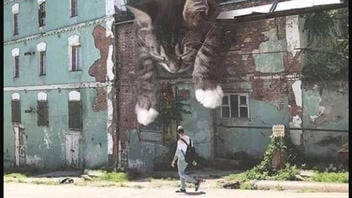 Fact Check: Image Of Giant Kittens Napping Is NOT A Mural -- It's Digital Art