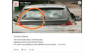 Fact Check: Image of Flooded BMW With "F*ck You Greta!" Sticker Is NOT Real