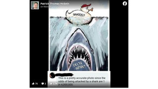 Fact Check: Comparing the Odds Of Shark Attack To Delta Variant Infection Is NOT Valid