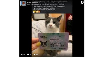 Fact Check: Hong Kong Permanent Pet Identity Card Is NOT A Real ID