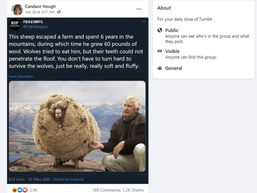 shrek the sheep post.PNG