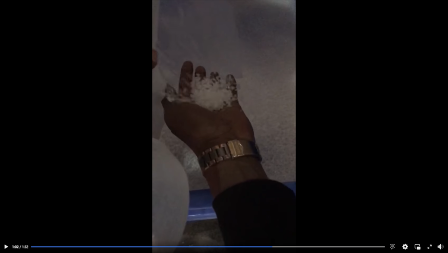 pellets FB video.PNG