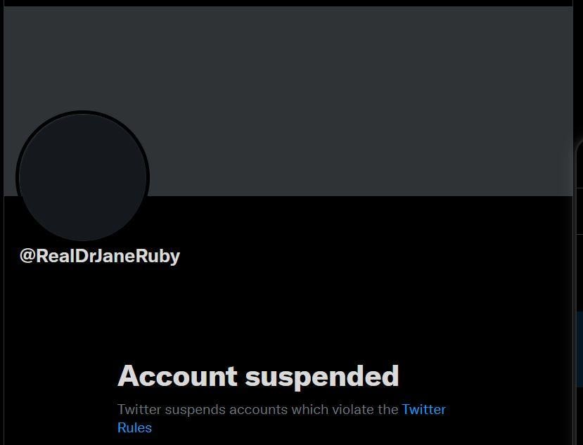 Ruby Suspended.JPG