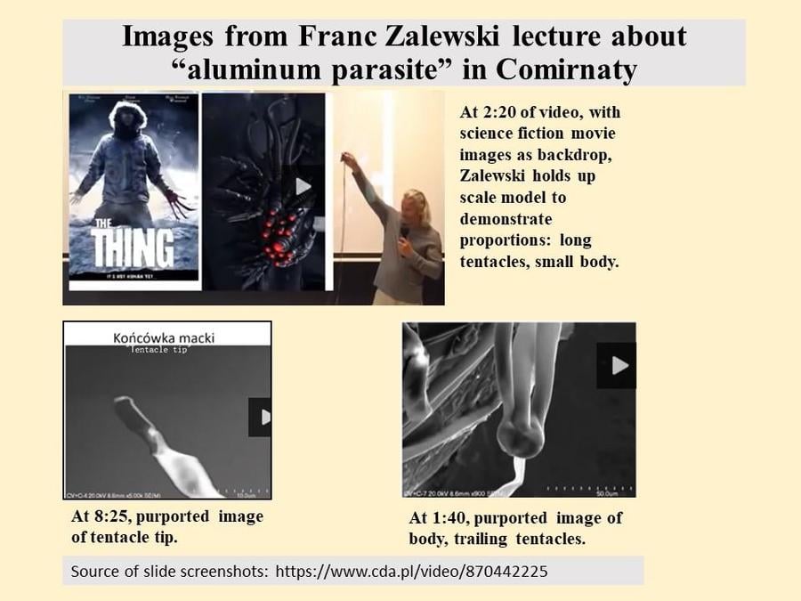 Zalewski Slides.jpg