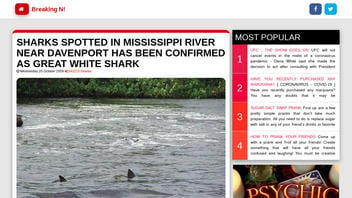 Fact Check: Two Great White Sharks Were NOT Spotted In The Mississippi River Near Davenport, Iowa
