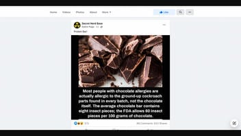 Fact Check: There Are NOT Cockroach Parts In Your Chocolate