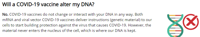 CDC DNA.png