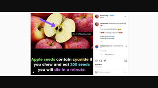 Fact Check: Eating 200 Apple Seeds May NOT Cause Fatal Reaction -- There's No Exact Number