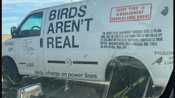 Fact Check: 'Birds Aren't Real' Is NOT A Real Conspiracy -- It's A Parody Social Movement