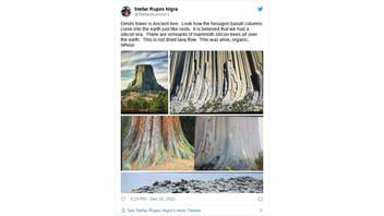 Fact Check: Devils Tower Is NOT A Giant Silicon Tree Trunk -- It's A Rock Formed 50 Million Years Ago